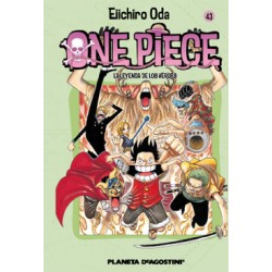 One Piece 043