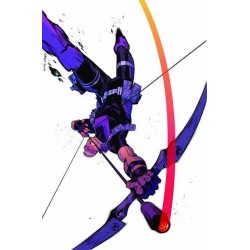 Ojo de Halcón: Caída libre