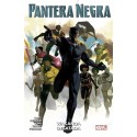 Pantera Negra 4