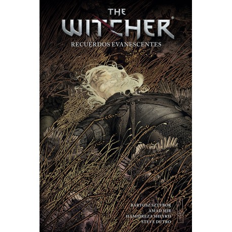 The Witcher 05
