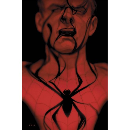 Spiderman: La sombra de la araña