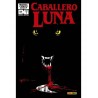 Biblioteca Caballero Luna 07