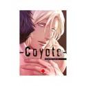Coyote 04