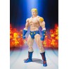 Kinnikuman (Musculman) - Terryman Figura S.H.Figuarts