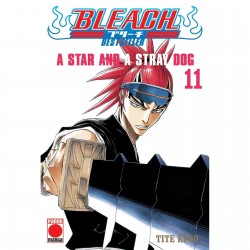 Bleach: Bestseller 11