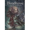 Bloodborne 5. La Dama De Las Linternas