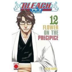 Bleach: Bestseller 12