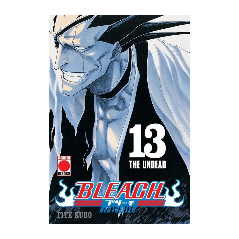 Bleach: Bestseller 13