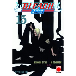 Bleach: Bestseller 15