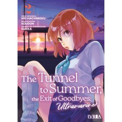 The Tunnel To Summer, The...