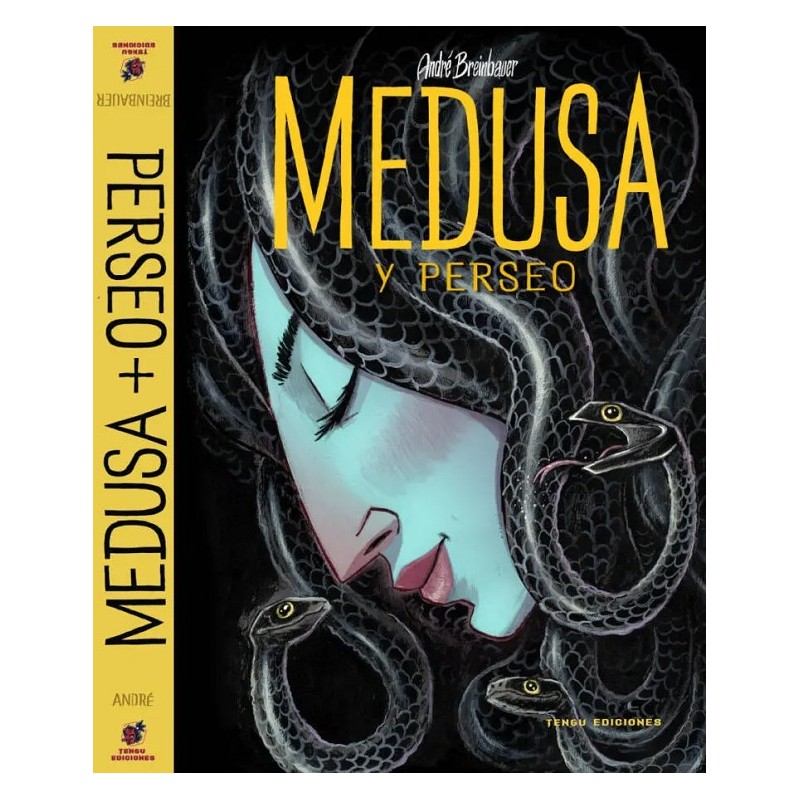 Medusa Y Perseo
