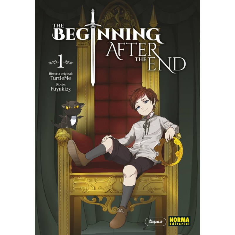 The Beginning After The End 01