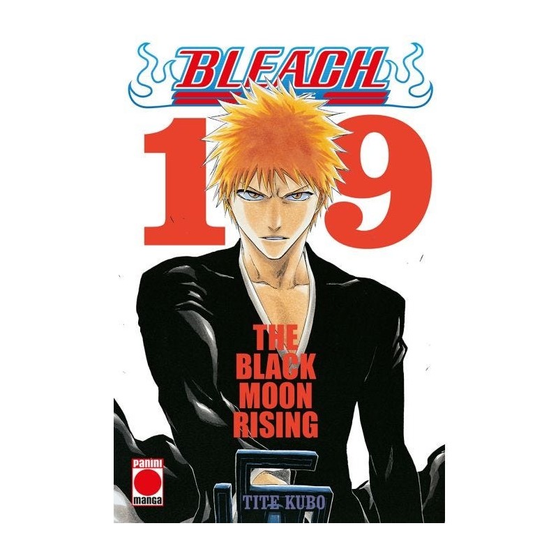 Bleach: Bestseller 19