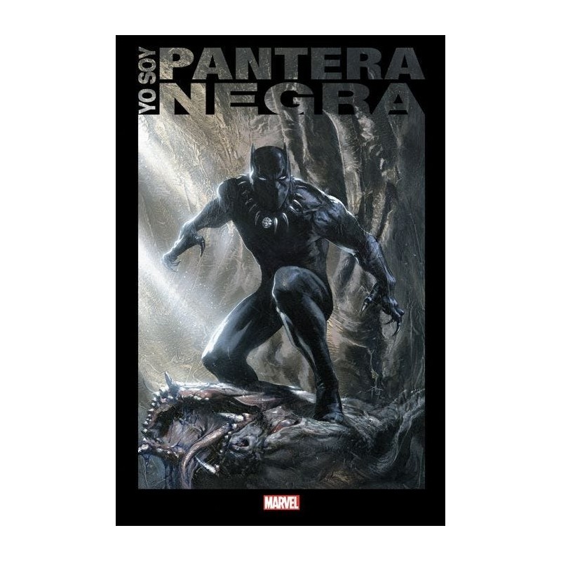 Yo Soy Pantera Negra