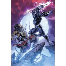 Predator Vs Pantera Negra