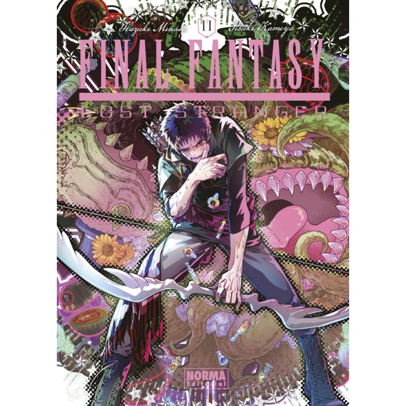 Final Fantasy Lost Stranger 11