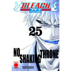 Bleach: Bestseller 25