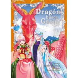 Dragón busca casa 10