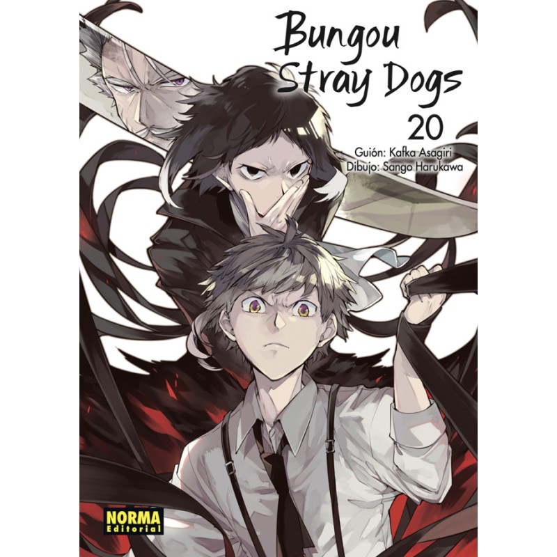 Bungou Stray Dogs 20
