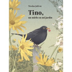 Tino, un mirlo en mi jardín