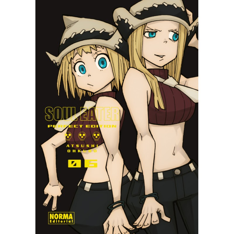Soul Eater Perfect Edition 06