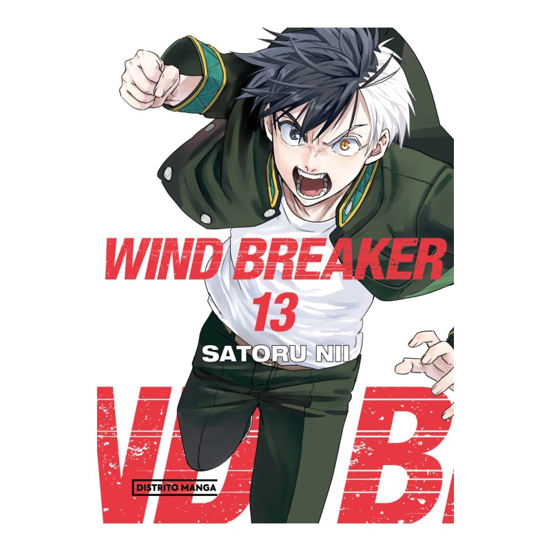 Wind Breaker 13