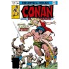 Biblioteca Conan. Conan el Bárbaro 18 1979-80