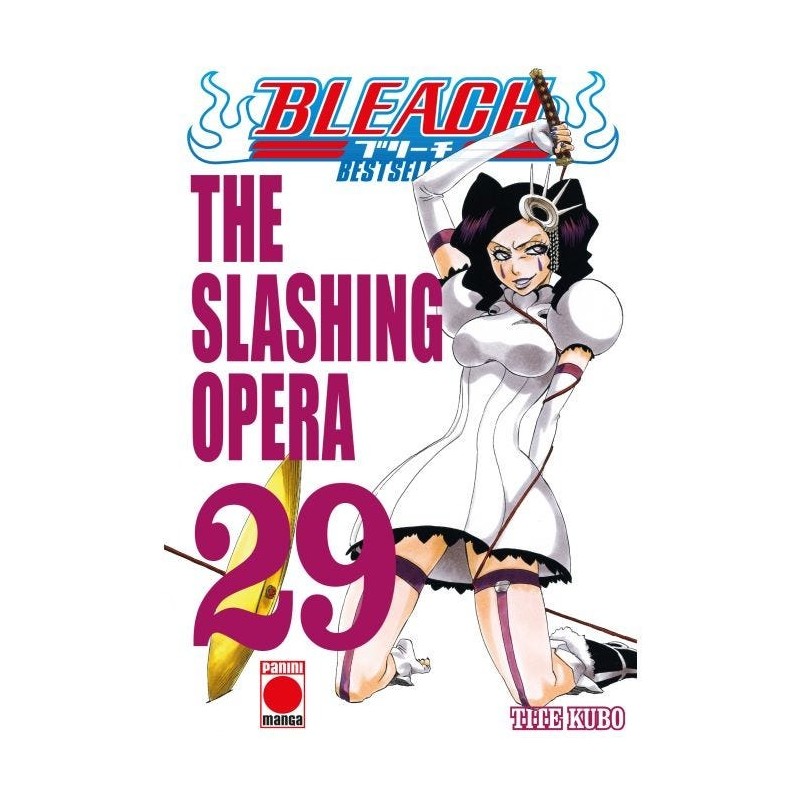 Bleach: Bestseller 29
