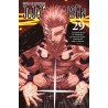 Jujutsu Kaisen 29
