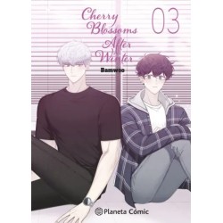 Cherry Blossoms After...