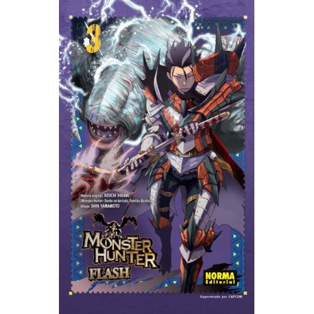 Monster Hunter Flash! 03