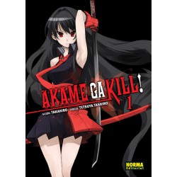 Akame Ga Kill! 01
