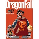 Dragon Fall Ultimate Edition 07