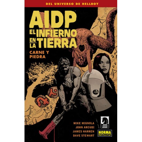 AIDP 28
